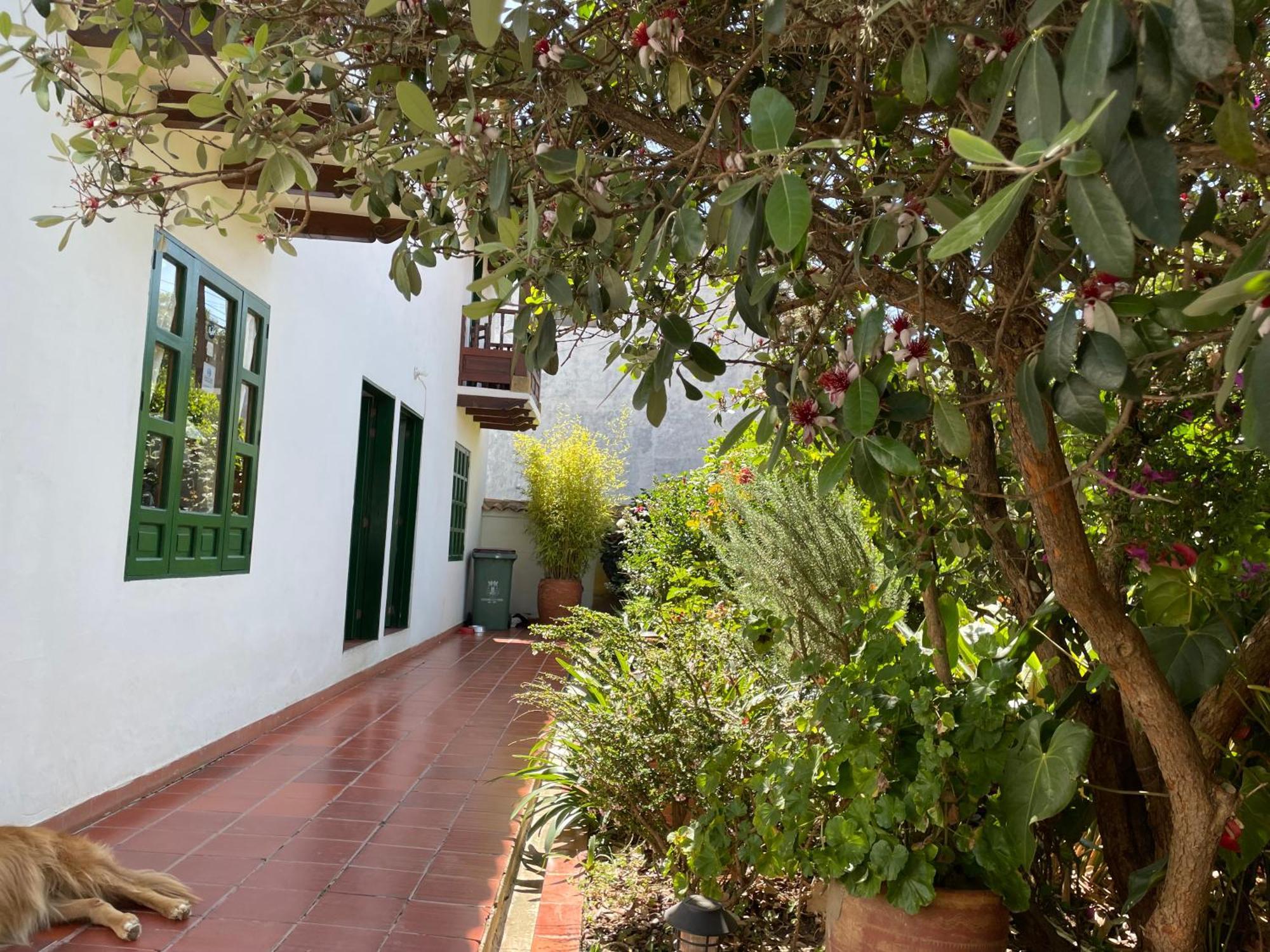 Hostal El Pino Villa de Leyva Exteriör bild
